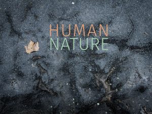 Projekt HUMAN NATURE, Motiv Wurzeln im Asphalt